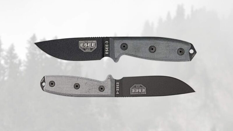 esee 3 vs esee 4 comparison