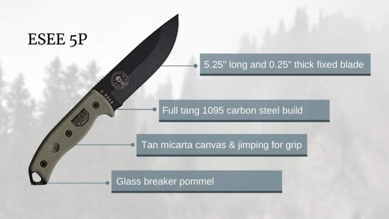 esee 5 breakdown