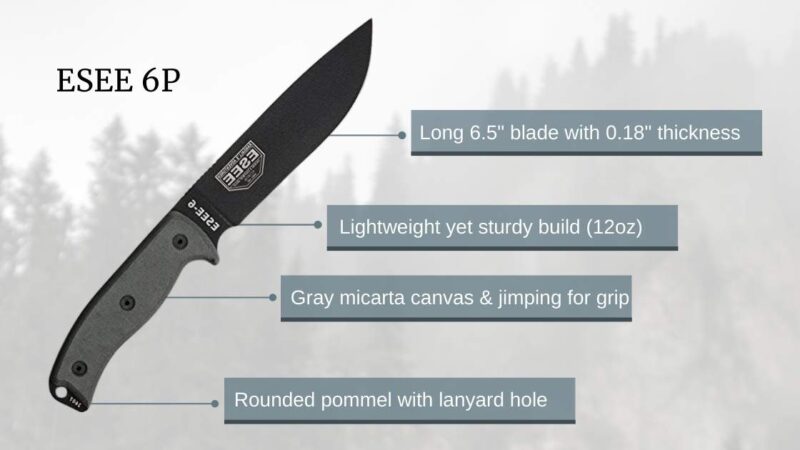 esee 6 breakdown