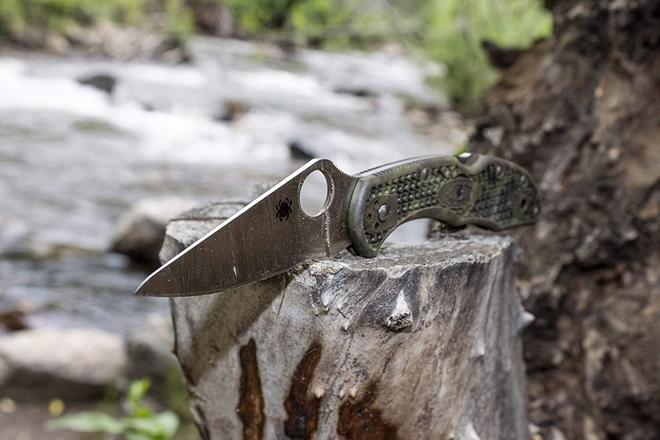 Spyderco Delica Folding Knife