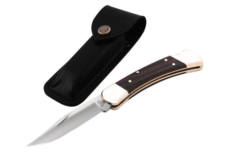 buck 110 with sheath