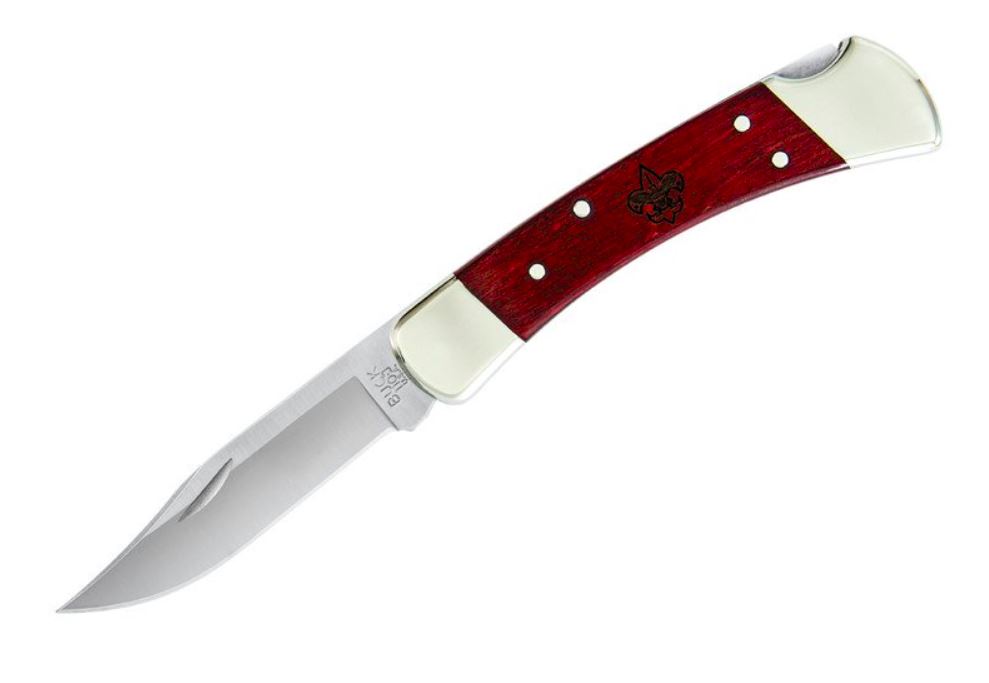 Knife for Boy Scouts - Buck 110 Folding Hunter